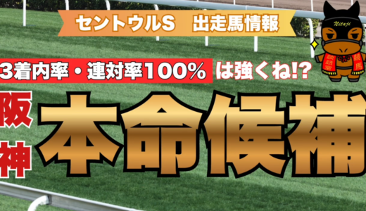 セントウルS2026出走馬情報｜阪神100%馬2頭vsG1馬ママコチャ＝混戦を制する注目馬とは!?必見データ